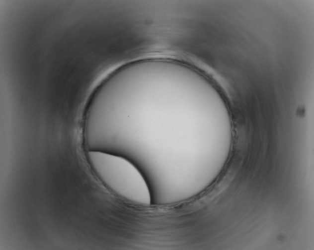 X0000103421415200809121002