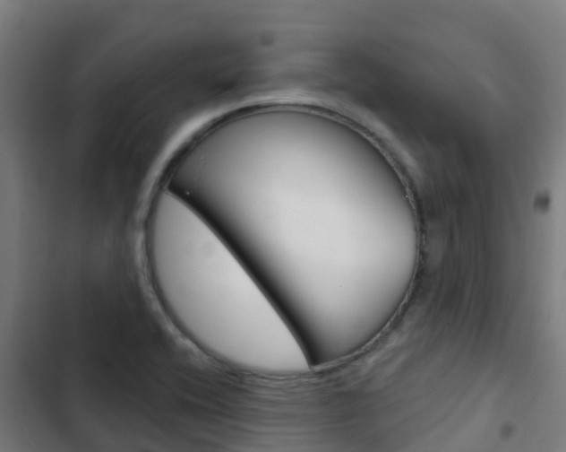 X0000103421416200809121002