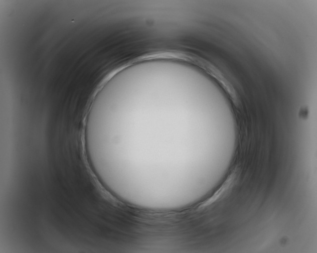 X0000103421417200809121002