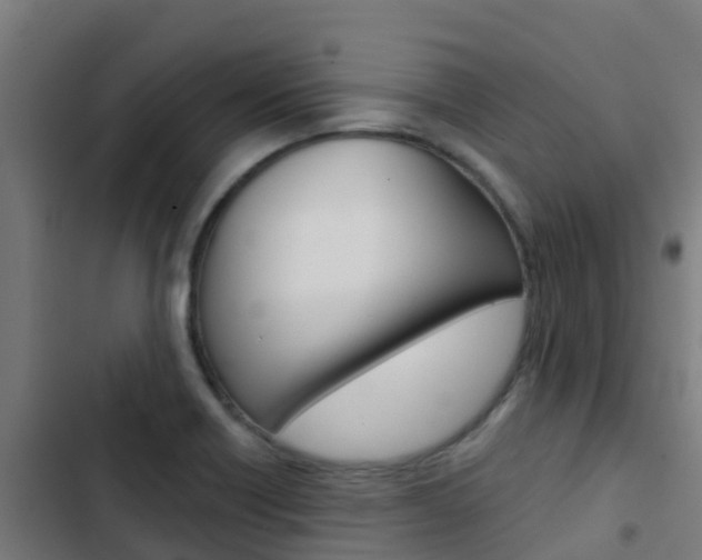 X0000103421418200809121002