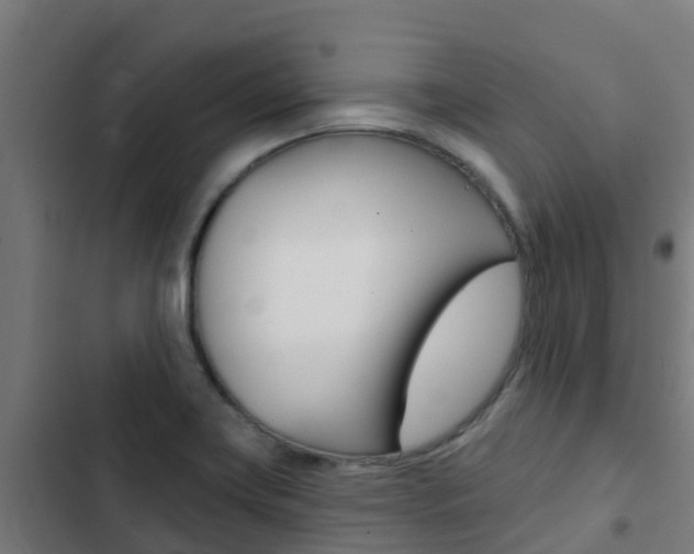 X0000103421419200809121002