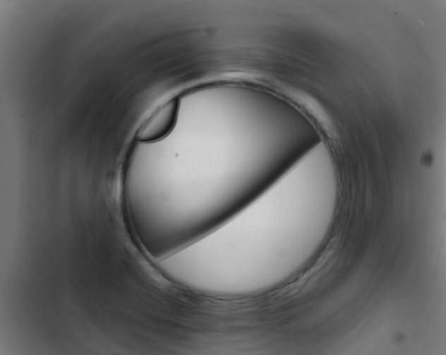 X0000103421420200809121002