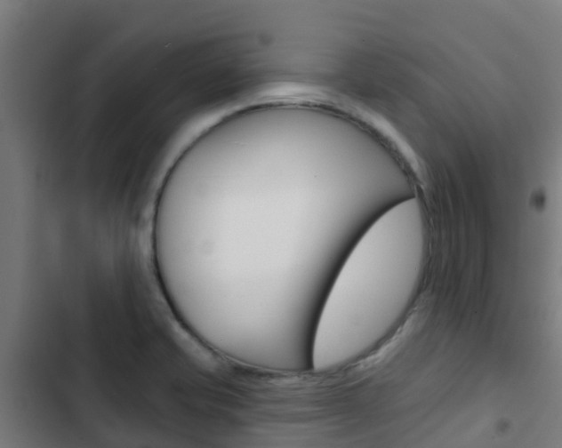 X0000103421421200809121002