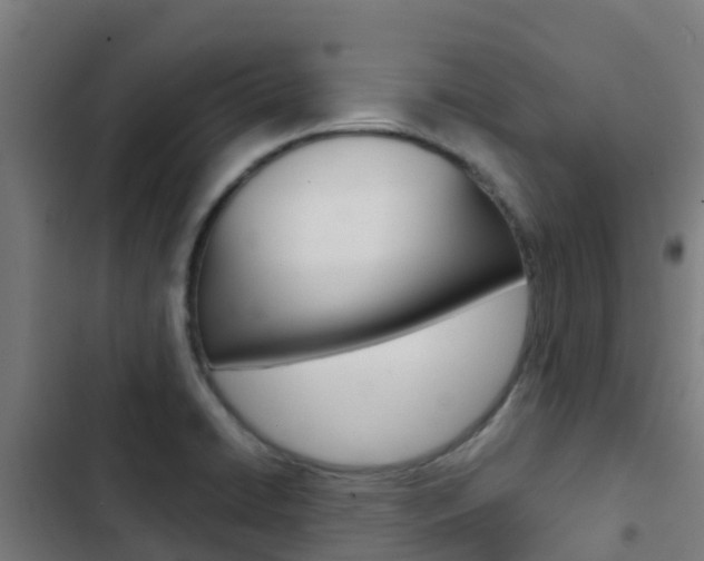 X0000103421422200809121002