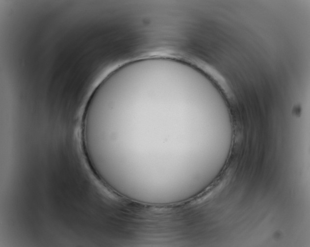 X0000103421423200809121002