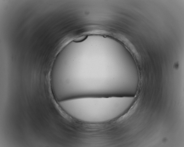 X0000103421425200809121002