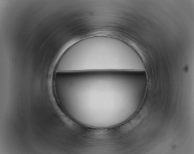 X0000103421426200809121002