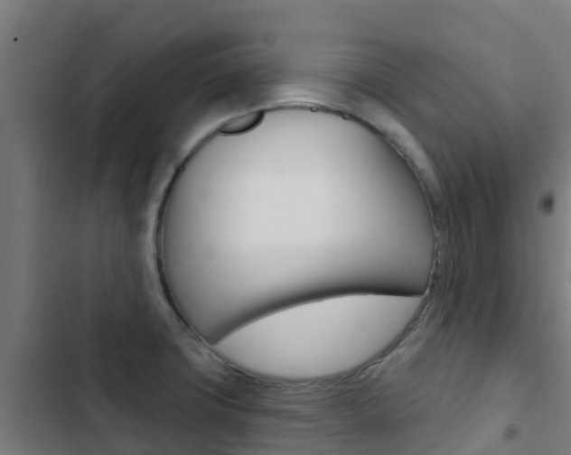 X0000103421427200809121002