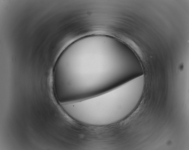 X0000103421428200809121002