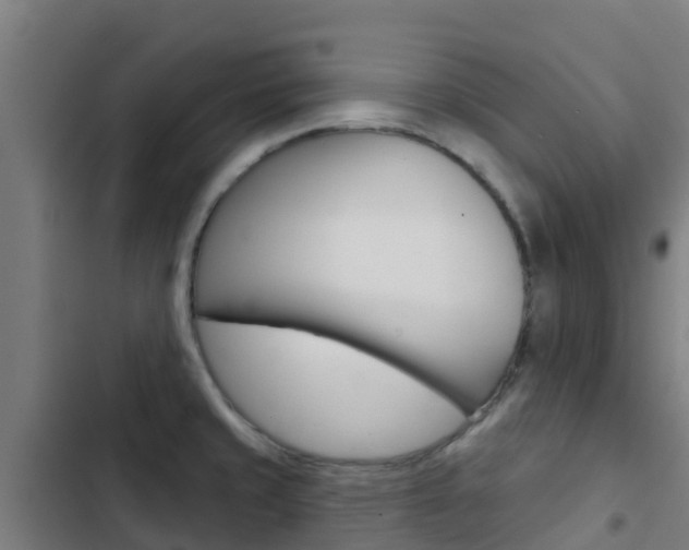 X0000103421429200809121002