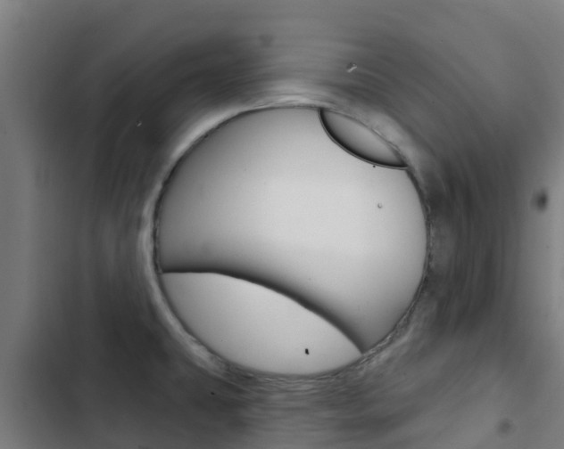 X0000103421431200809121002