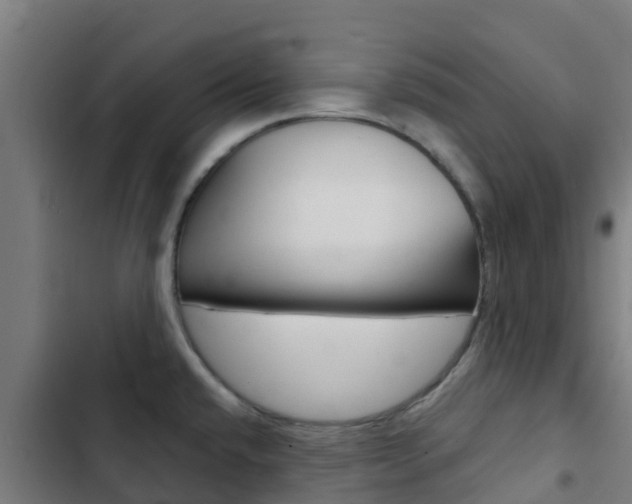 X0000103421432200809121002