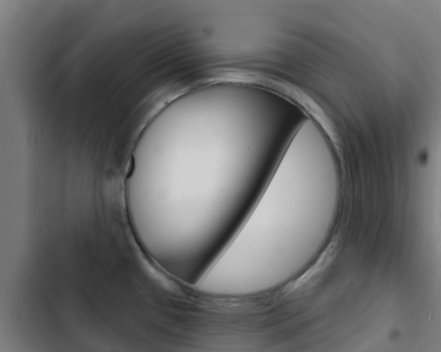 X0000103421433200809121002