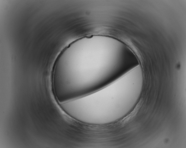 X0000103421434200809121002