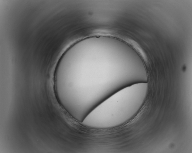 X0000103421435200809121002