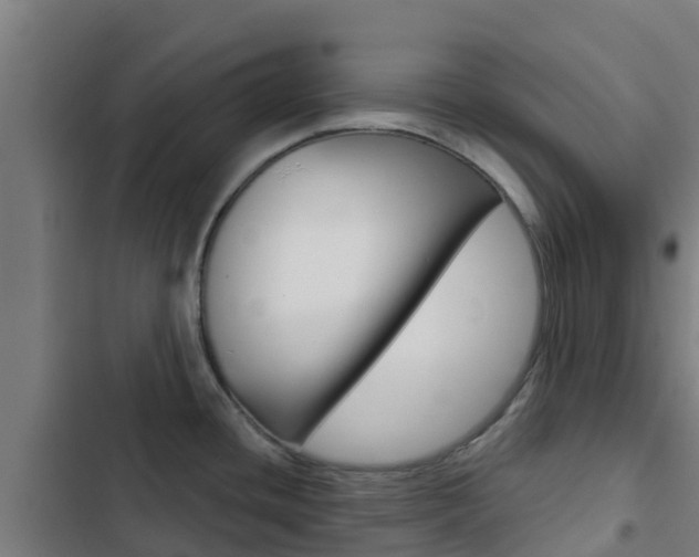 X0000103421436200809121002