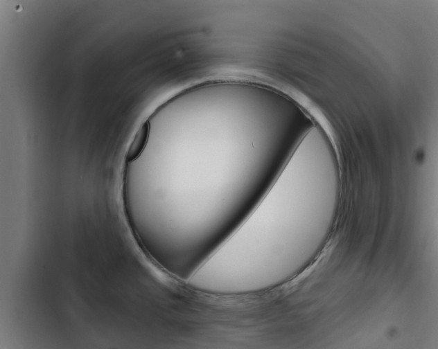 X0000103421437200809121002