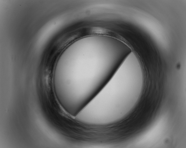 X0000103421438200809121002