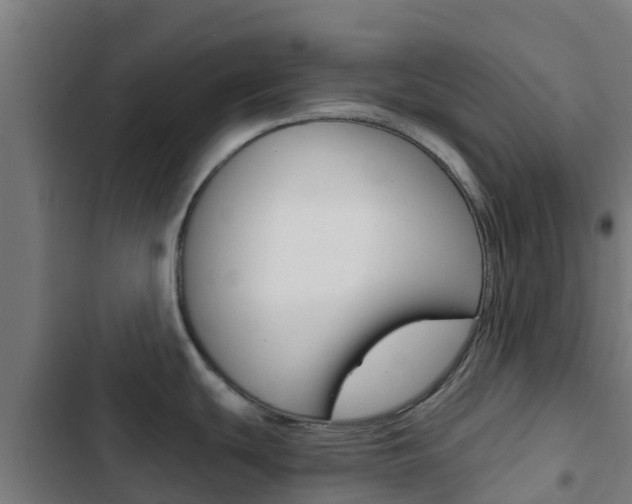 X0000103421439200809121002