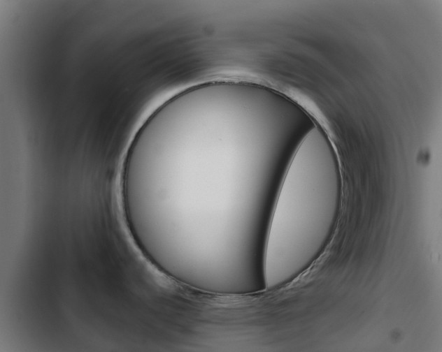 X0000103421440200809121002