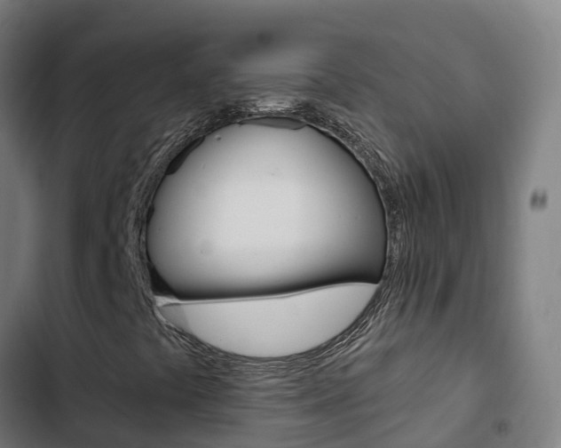 X0000103421441200809121001
