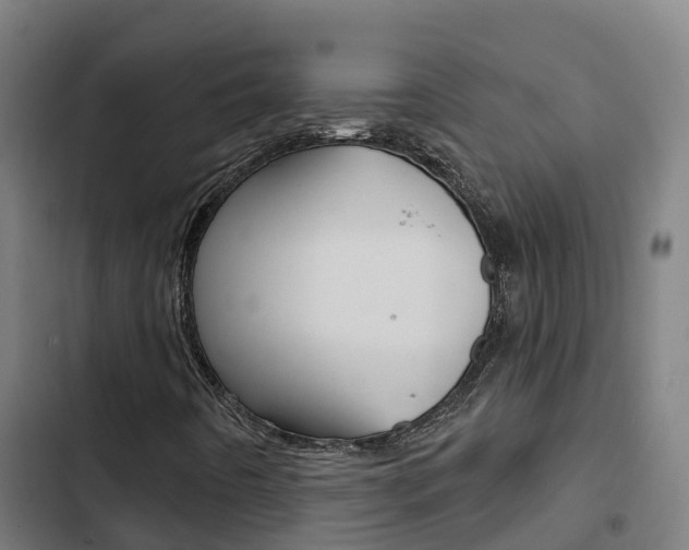 X0000103421442200809121001