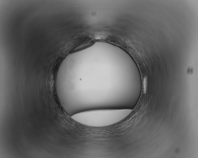 X0000103421443200809121001