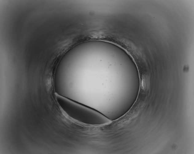 X0000103421444200809121001