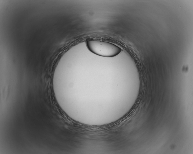 X0000103421445200809121001