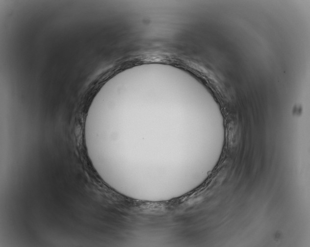 X0000103421446200809121001