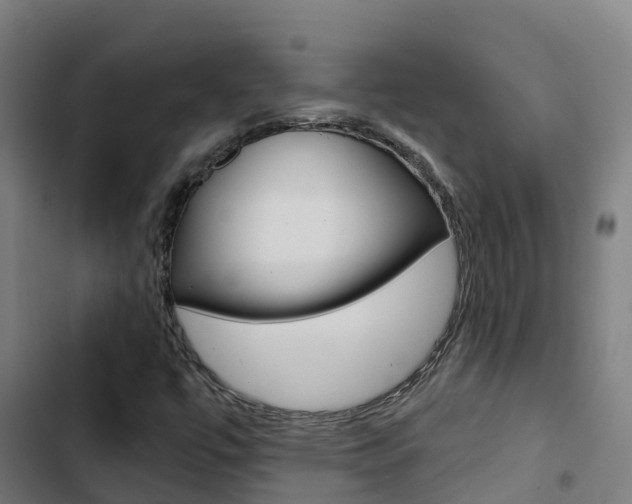 X0000103421447200809121001