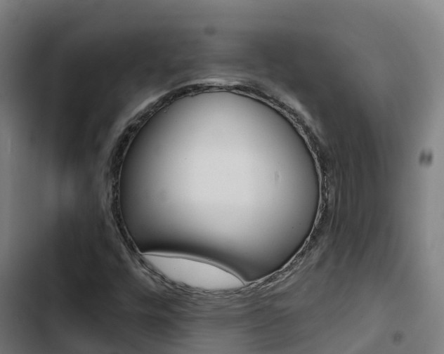 X0000103421448200809121001