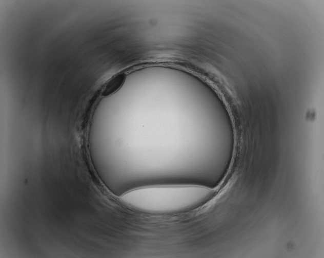 X0000103421449200809121001