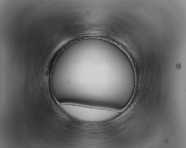 X0000103421450200809121001