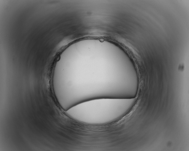X0000103421451200809121001