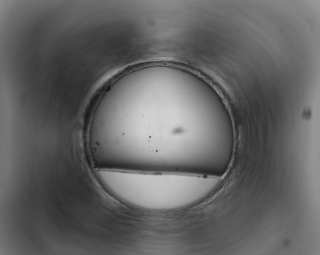 X0000103421452200809121001
