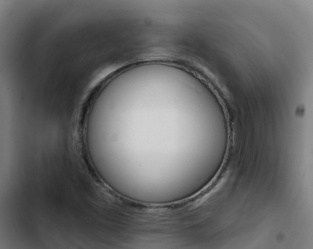 X0000103421453200809121001