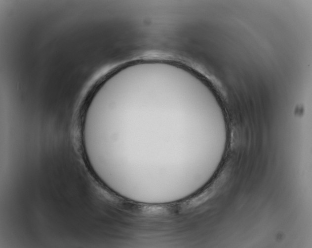 X0000103421454200809121001