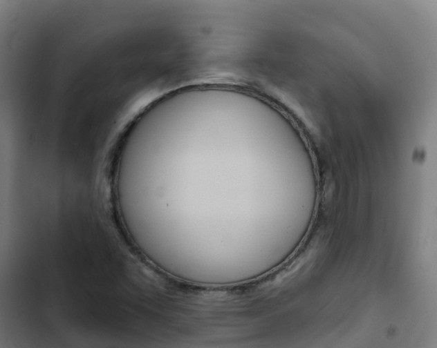 X0000103421455200809121001