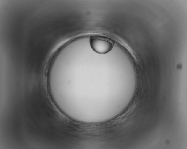 X0000103421456200809121001