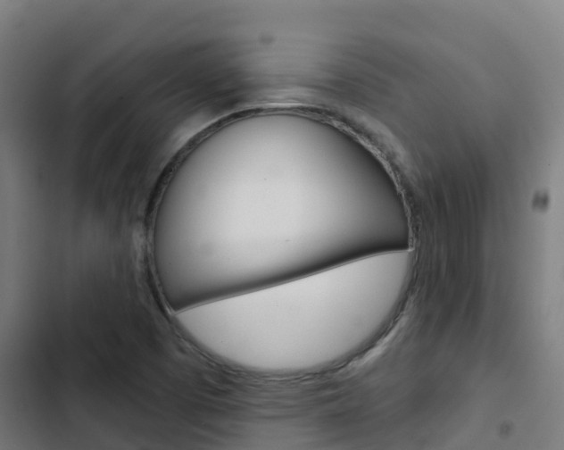 X0000103421457200809121001