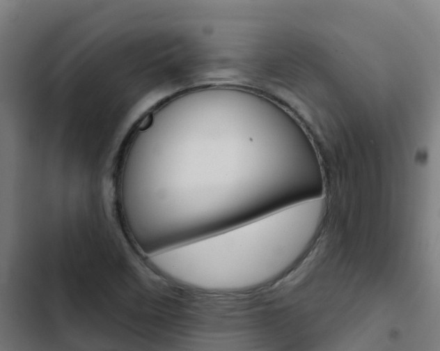 X0000103421458200809121001