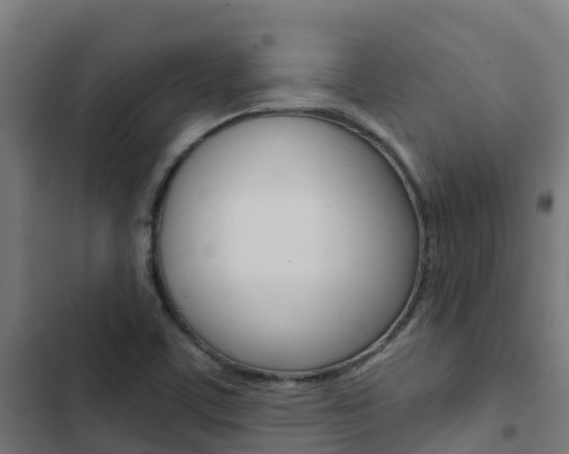 X0000103421459200809121001