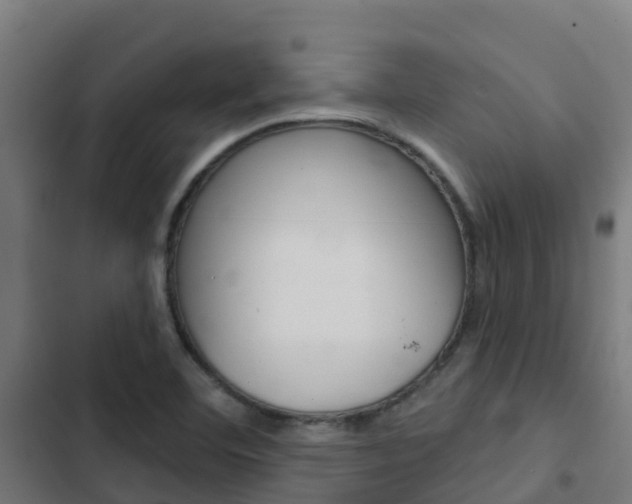 X0000103421460200809121001