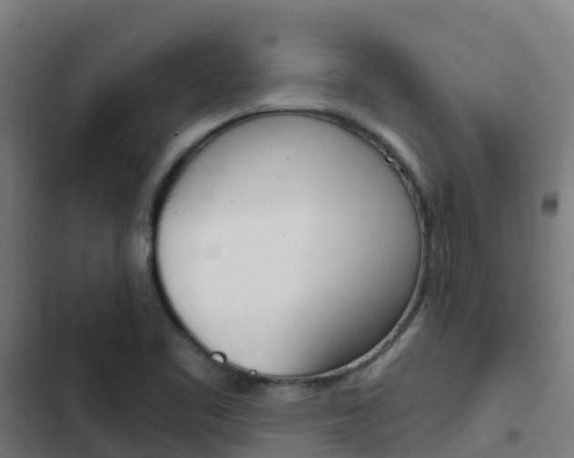 X0000103421461200809121001