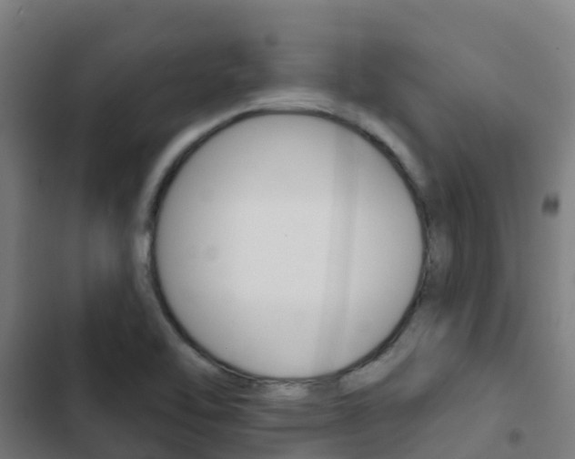X0000103421462200809121001
