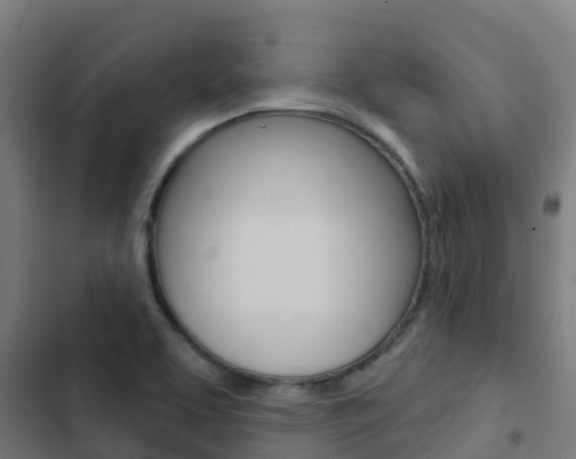 X0000103421463200809121001