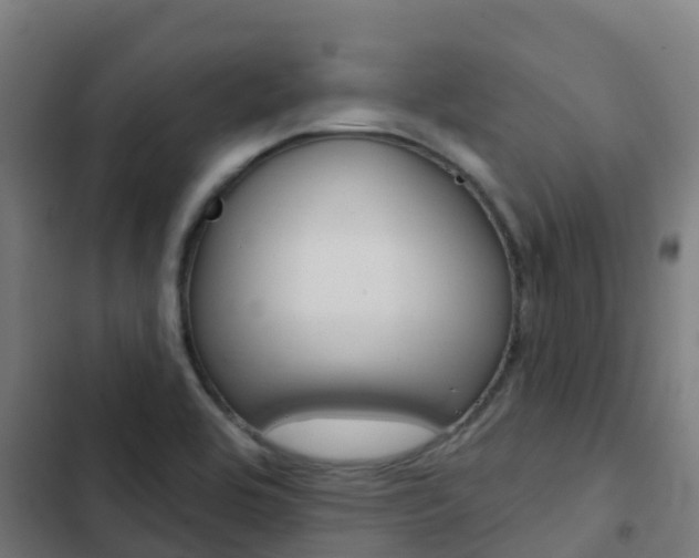 X0000103421464200809121001