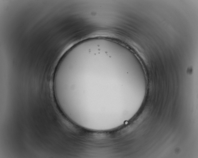 X0000103421465200809121001