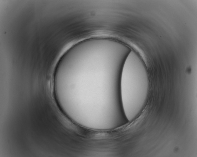 X0000103421467200809121001